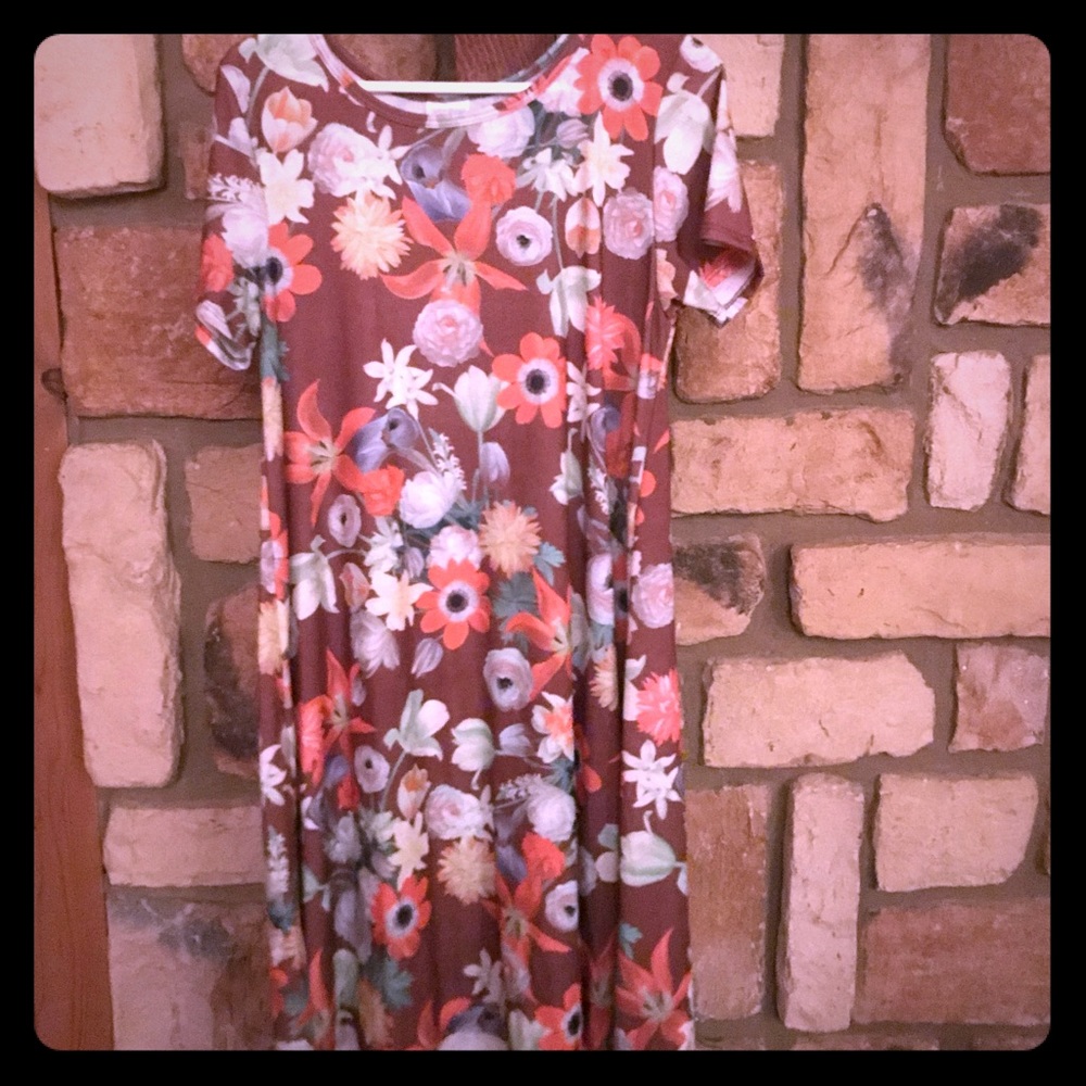 Lularoe Carly size m